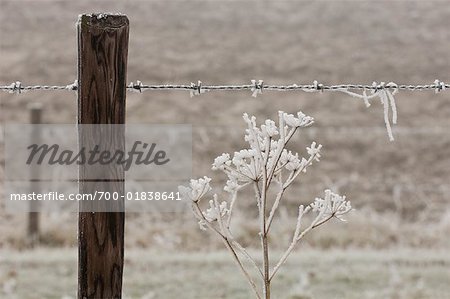 Nahaufnahme der Zaun im Winter