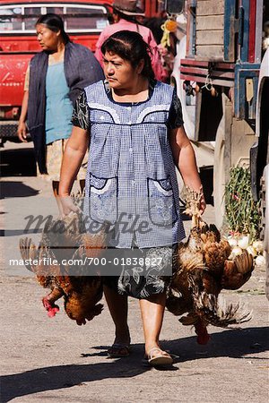 Femme transportant des poulets dans la rue, Oaxaca, Mexique
