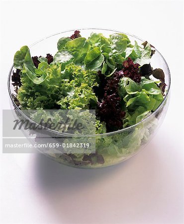 A Bowl of Assorted Lettuce