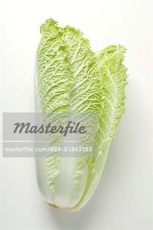 Fresh Chinese cabbage Fresh Chinese cabbage
