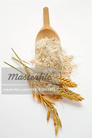 Wholemeal flour on wooden scoop, cereal ears