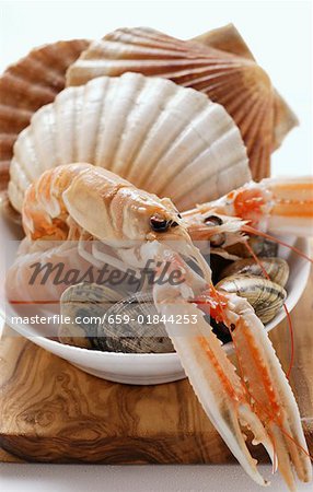 Scampi and shellfish in white dish