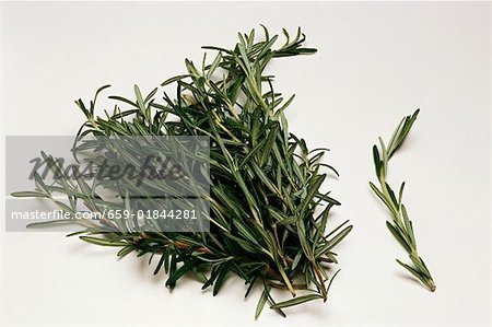 A bunch and a sprig of fresh rosemary