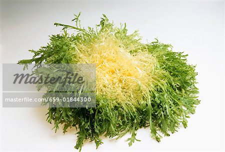 Fresh curly endive Fresh curly endive