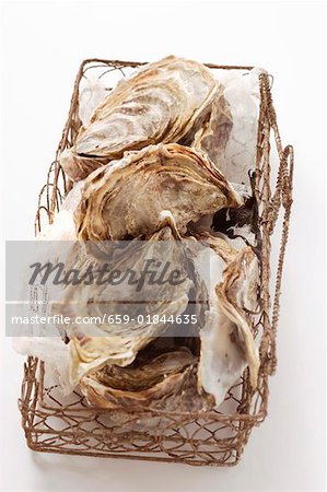 Oysters in basket