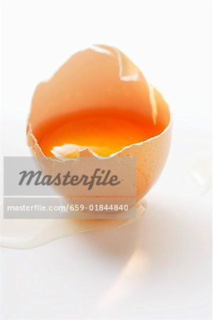 An egg, broken open