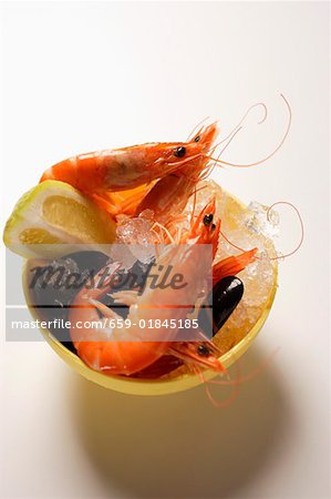 Shrimps and mussels in bowl with ice cubes