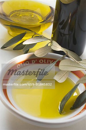 Olive oil in bowl, olive sprig, carafe, bottle