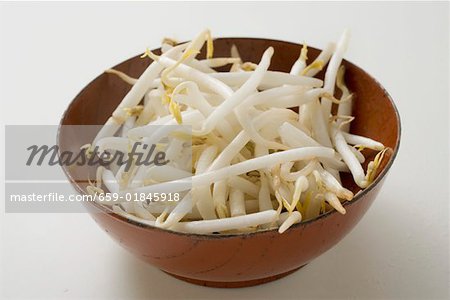 Fresh soya sprouts in bowl