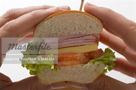 Hands holding ham and cheese sub sandwich