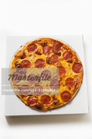 Ganze Salami und Käse pizza