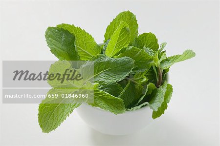 Menthe thaïlandaise dans un bol Menthe thaïlandaise dans un bol