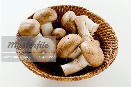 Champignons shiitake frais dans le panier