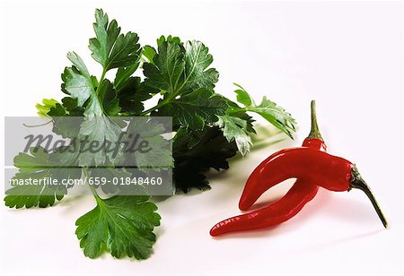 Petersilie und zwei Chilischoten Petersilie und zwei Chilischoten