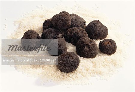 Plusieurs truffes noires se trouvant sur le riz