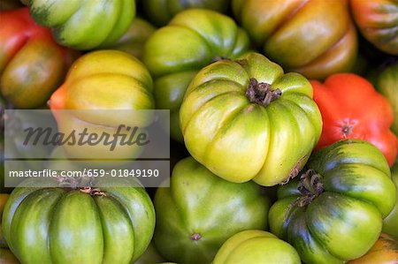 Grüne Beefsteak Tomaten (füllen das Bild)