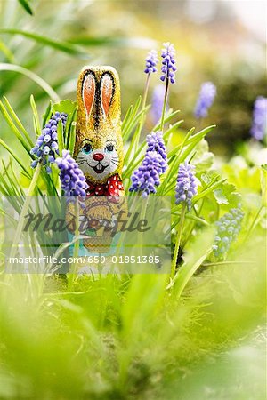 Muscaris avec le lapin de Pâques au chocolat