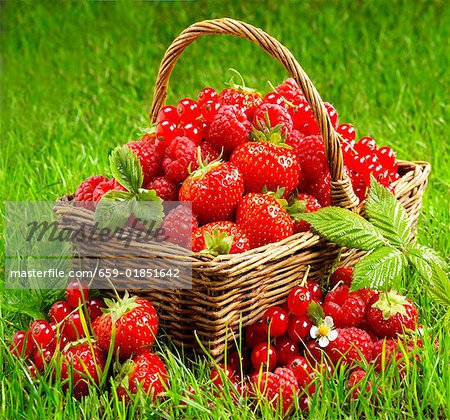 Fresh berries in a basket