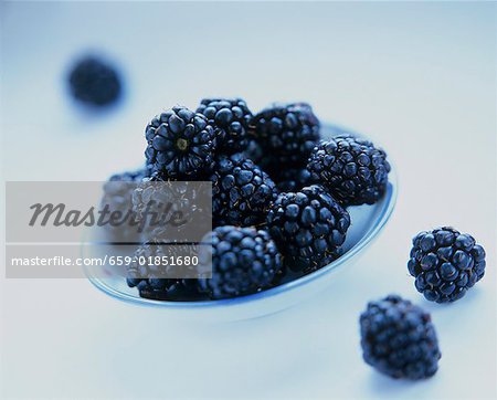 Fresh blackberries in a dish