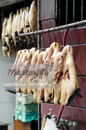 Plucked poultry hanging up at an Asian market