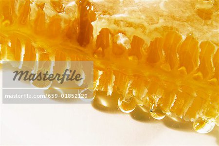 Close-up of a honeycomb