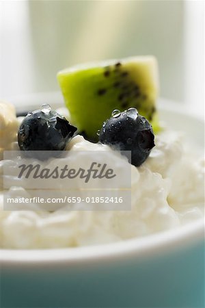 Cottage cheese with blueberries & kiwi fruit in a small bowl (1