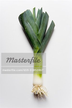 A leek