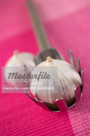 Garlic bulb (Aglio monobulbo) in pasta tongs