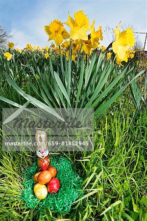 Osternest im Gras mit Narzissen im Hintergrund