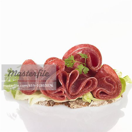 A salami sandwich with lettuce