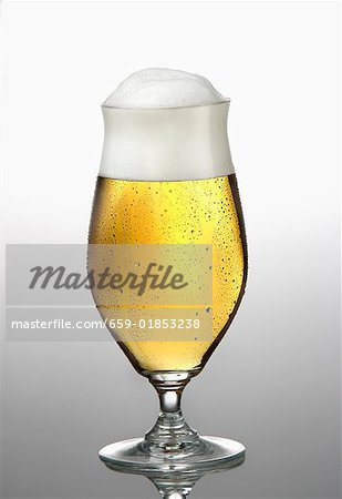 A Pils beer in glass A Pils beer in glass
