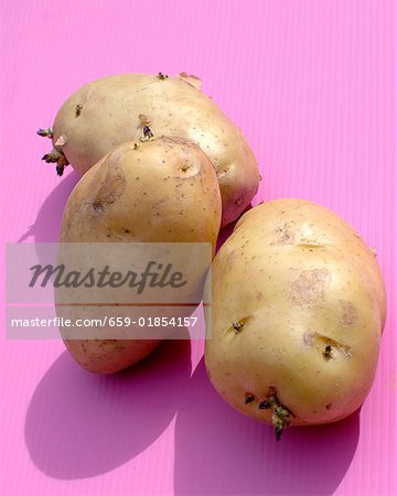 Three 'Bintje' potatoes
