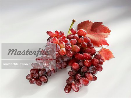 Raisins rouges