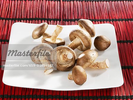Fresh shiitake mushrooms in white dish