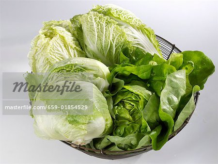 Lettuce, Chinese cabbage & iceberg lettuce in wire basket