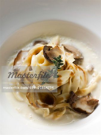 Ribbon pasta with ceps and cream sauce