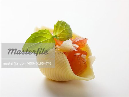 Pasta shell filled with tomato and Parmesan