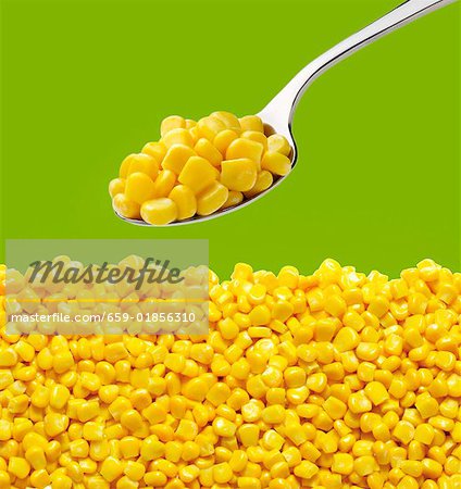 Tinned sweetcorn on a spoon