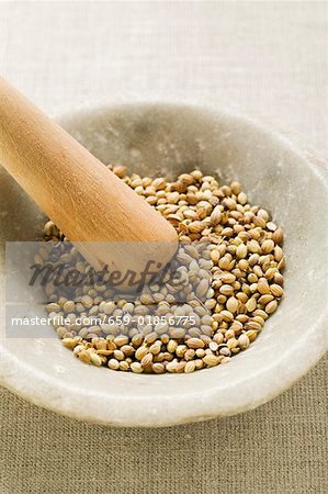 Coriander seeds in mortar