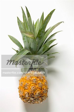 Un ananas Un ananas