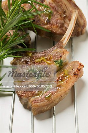 Grilled lamb cutlets with herb oil and rosemary