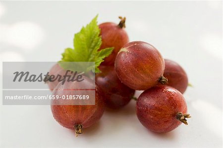 Several red gooseberries with leaf