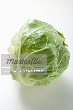 White cabbage with drops of water