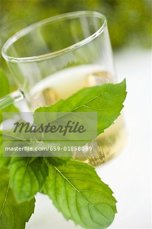 A sprig of fresh mint in front of tea glass