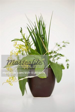 Bouquet d'herbes dans le bécher brun