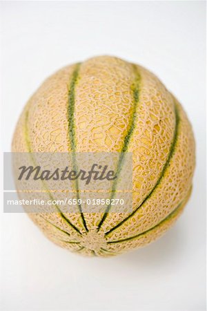 Eine Melone Melone