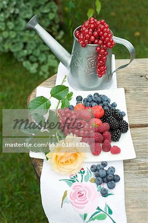Fresh berries on plate, redcurrants in watering can Fresh berries on plate, redcurrants in watering can