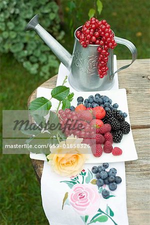 Frische Beeren auf Teller, roten Johannisbeeren/Ribiseln in Gießkanne