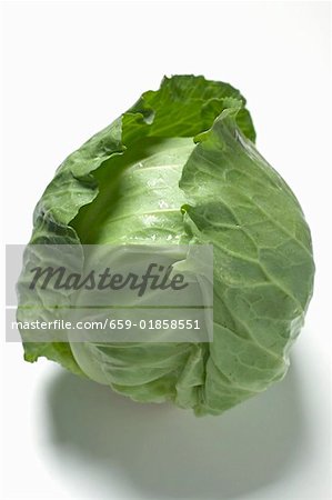 A green cabbage