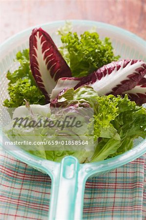 Gemischte Salat Blätter in Kunststoff-Sieb